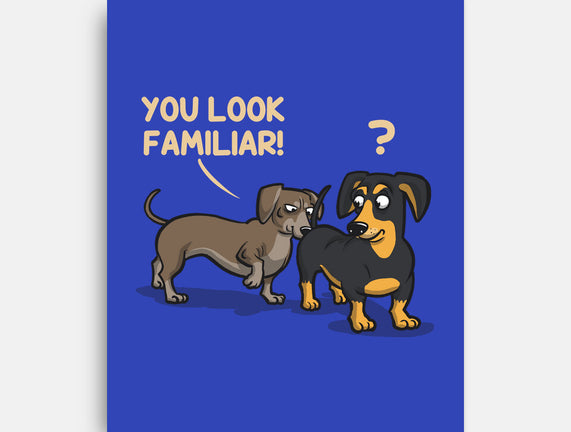You Look Familiar