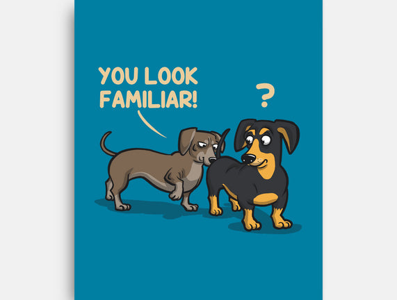 You Look Familiar