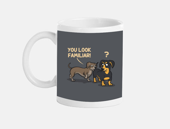 You Look Familiar
