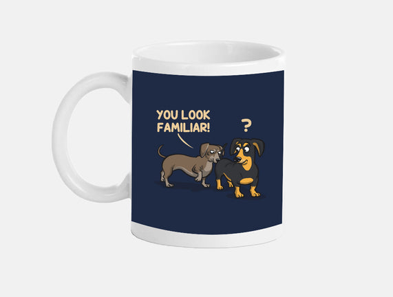 You Look Familiar