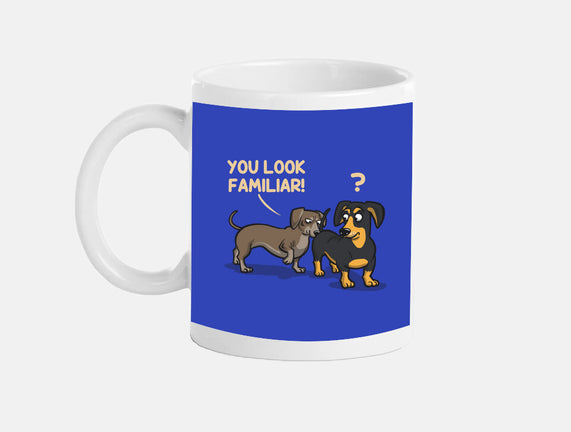 You Look Familiar