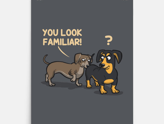 You Look Familiar