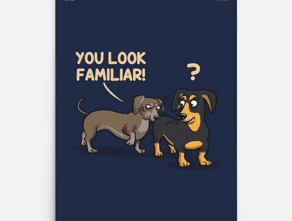 You Look Familiar