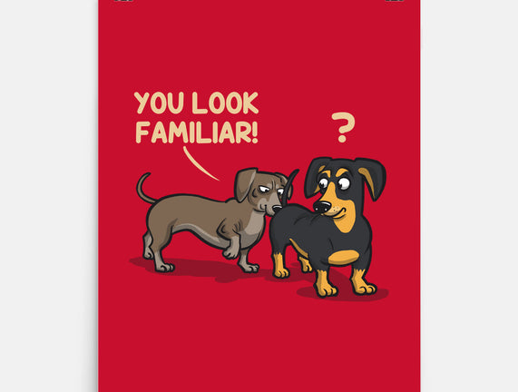 You Look Familiar
