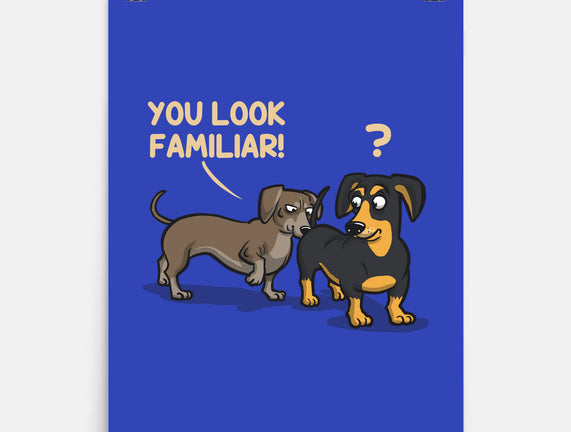 You Look Familiar