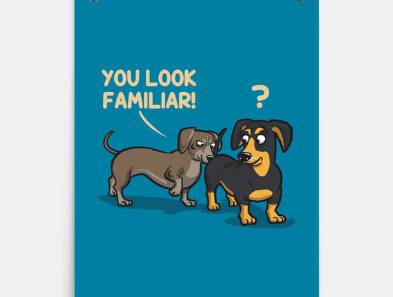 You Look Familiar