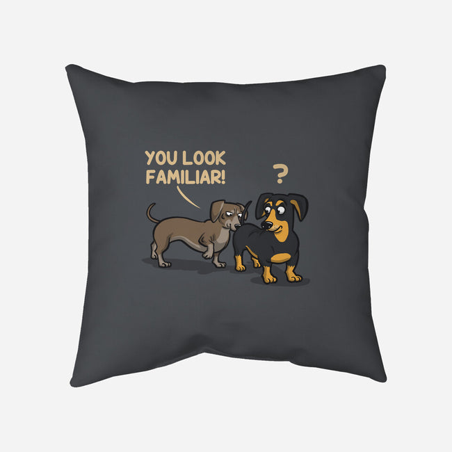 You Look Familiar-None-Removable Cover w Insert-Throw Pillow-zascanauta