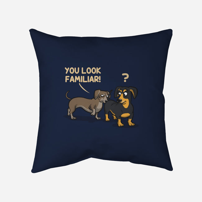 You Look Familiar-None-Removable Cover w Insert-Throw Pillow-zascanauta