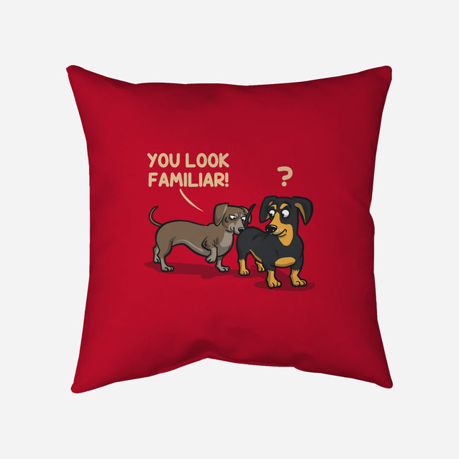 You Look Familiar-None-Removable Cover w Insert-Throw Pillow-zascanauta
