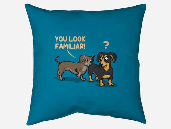 You Look Familiar