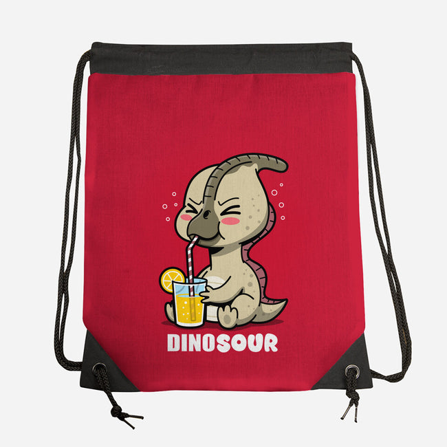 Dinosour-None-Drawstring-Bag-Boggs Nicolas