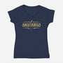 Vintage Sagitarius-Womens-V-Neck-Tee-kg07