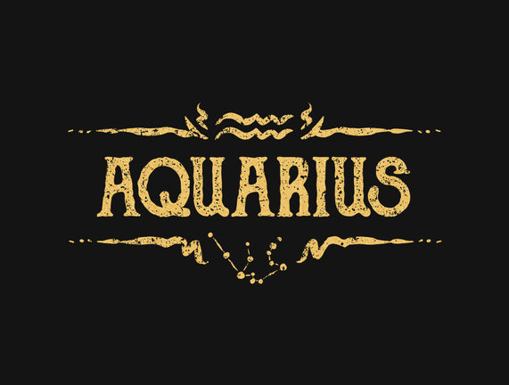 Vintage Aquarius