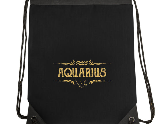 Vintage Aquarius