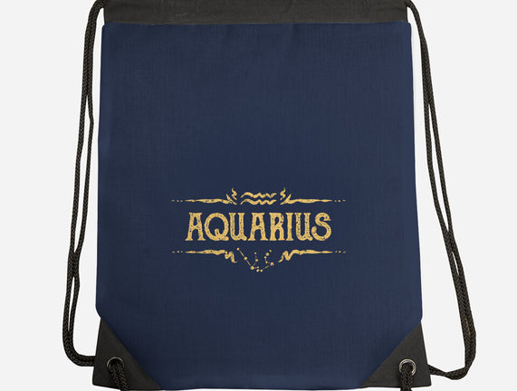 Vintage Aquarius