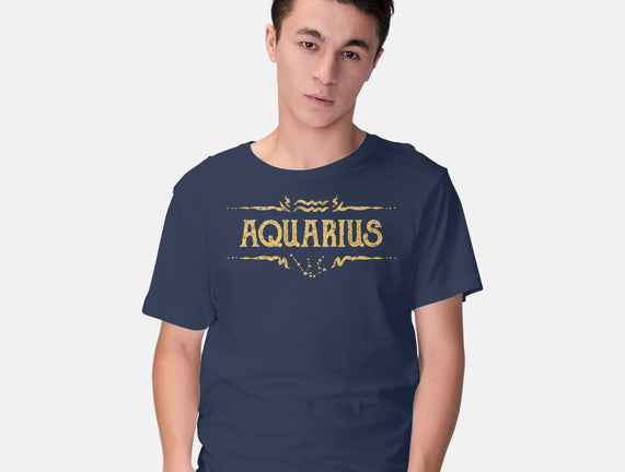 Vintage Aquarius