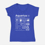 Aquarius Label-Womens-V-Neck-Tee-DrMonekers