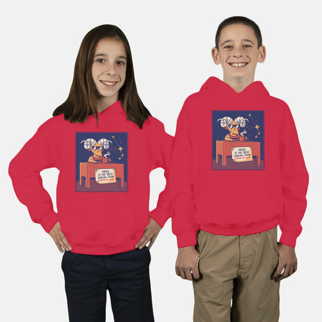 Aries The Best Sign-Youth-Pullover-Sweatshirt-raffaus