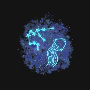 Aquarius Neon Constellation