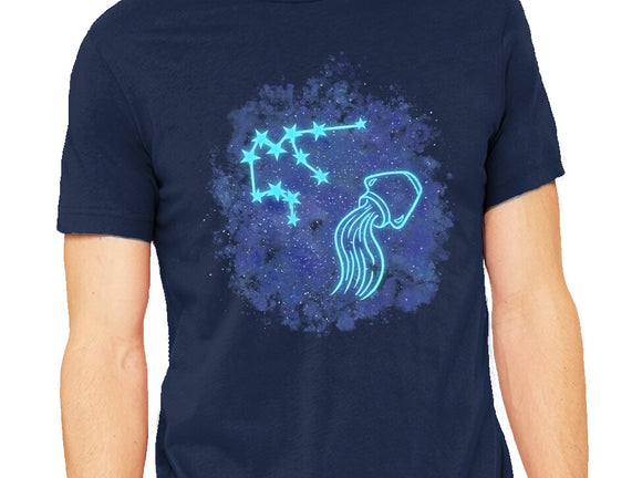 Aquarius Neon Constellation
