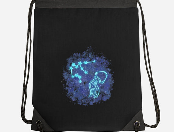 Aquarius Neon Constellation