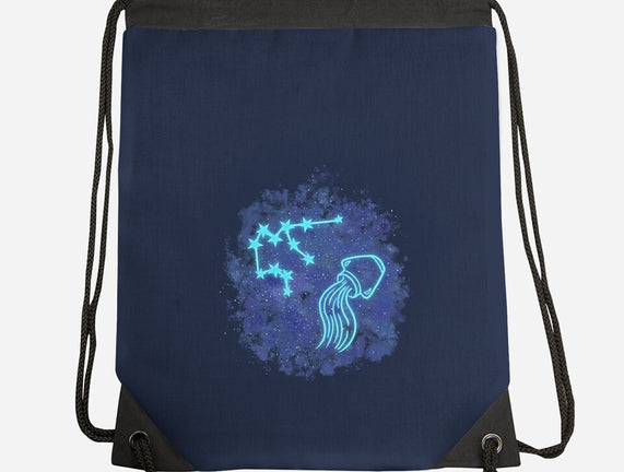Aquarius Neon Constellation