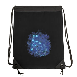 Leo Neon Constellation