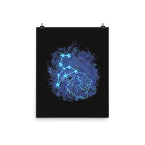 Leo Neon Constellation