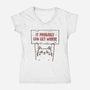 It Probably Can Get Worse-Womens-V-Neck-Tee-koalastudio