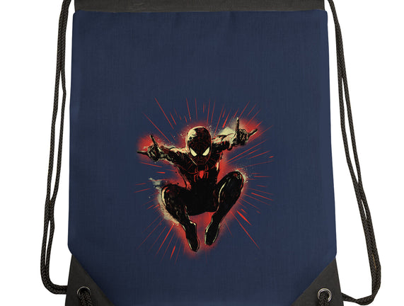 Mister Web