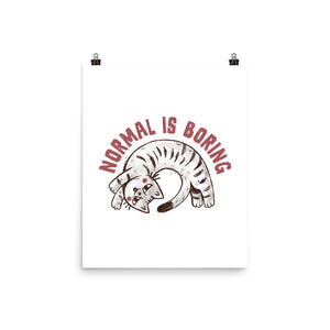 Normal Is So Boring