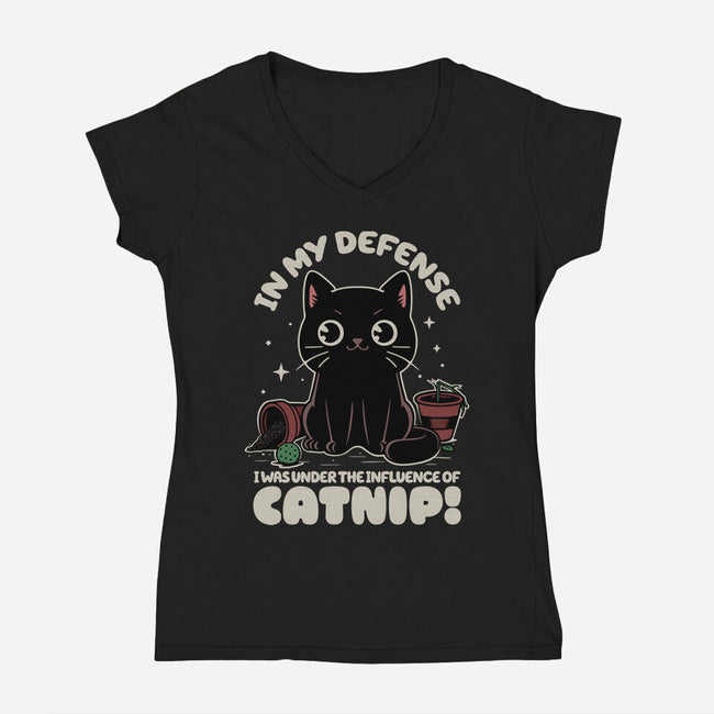 It's The Catnip's Fault-Womens-V-Neck-Tee-Popnotic