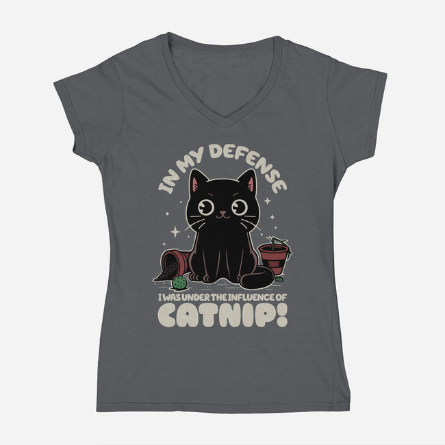 It's The Catnip's Fault-Womens-V-Neck-Tee-Popnotic