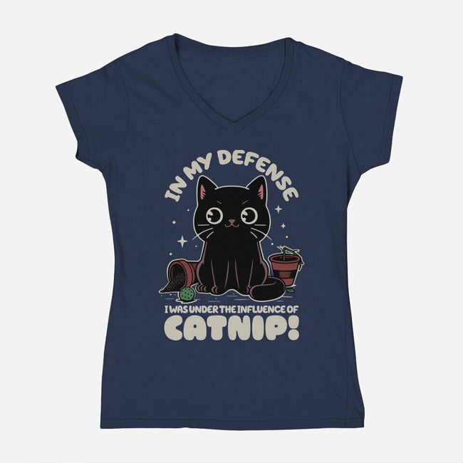 It's The Catnip's Fault-Womens-V-Neck-Tee-Popnotic