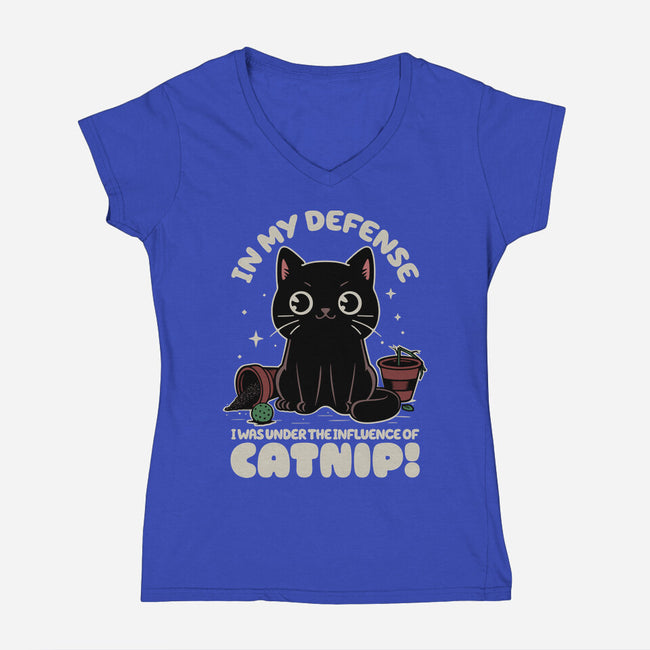 It's The Catnip's Fault-Womens-V-Neck-Tee-Popnotic
