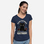 It's The Catnip's Fault-Womens-V-Neck-Tee-Popnotic
