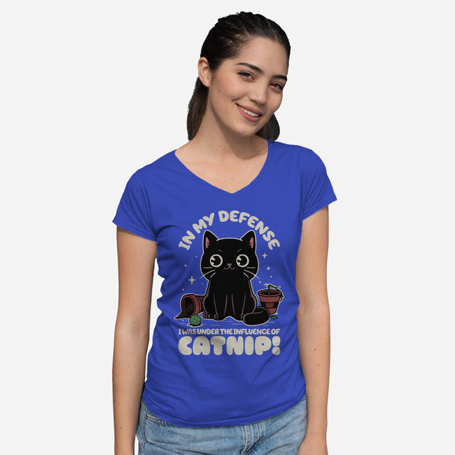 It's The Catnip's Fault-Womens-V-Neck-Tee-Popnotic