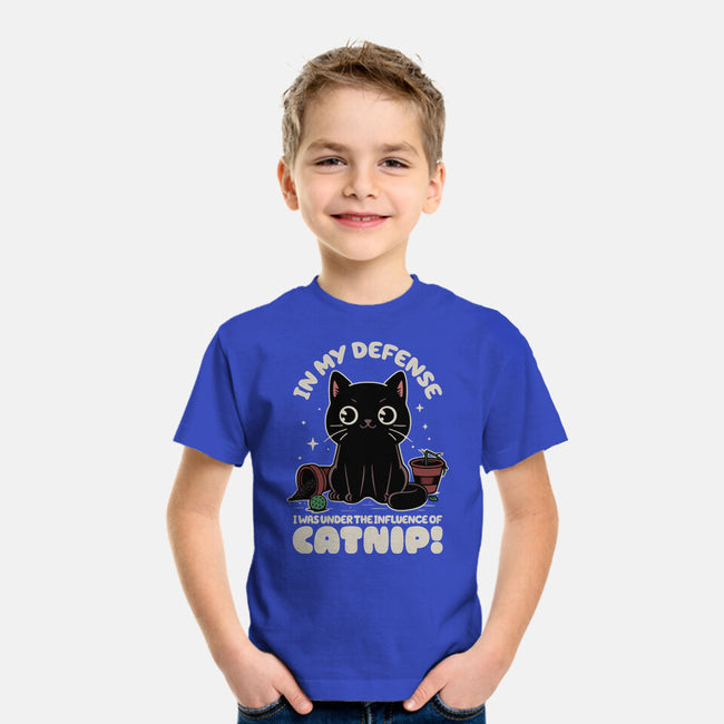 It's The Catnip's Fault-Youth-Basic-Tee-Popnotic