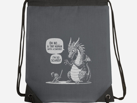 Sarcastic Dragon