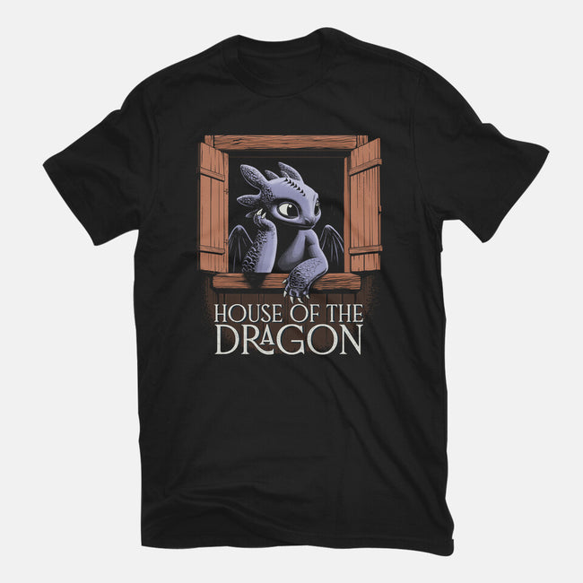 House Of The Dragon-Mens-Heavyweight-Tee-Popnotic