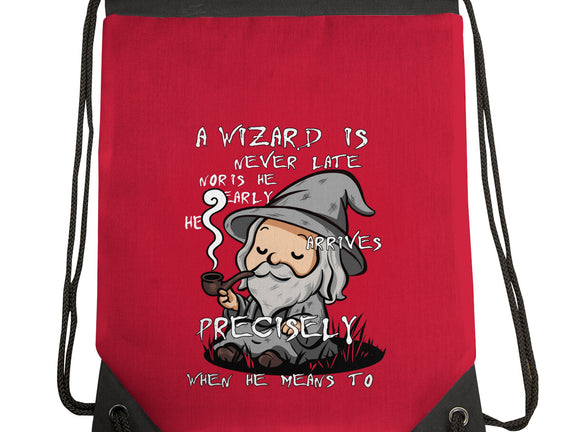 A Wizard Is Never Late