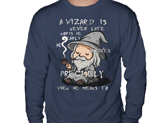 A Wizard Is Never Late