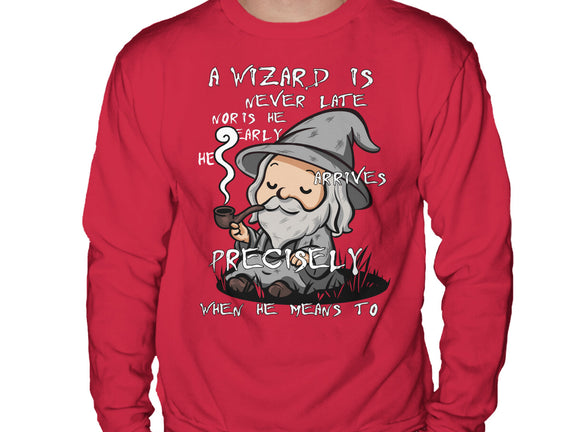 A Wizard Is Never Late