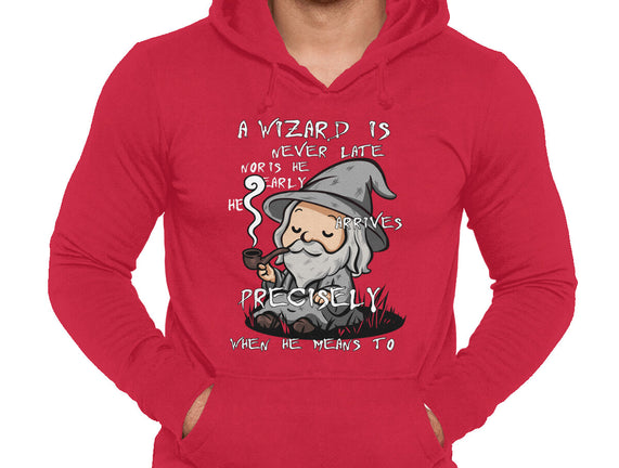 A Wizard Is Never Late