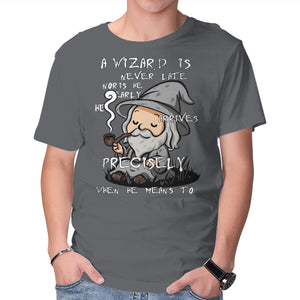A Wizard Is Never Late