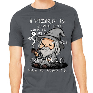 A Wizard Is Never Late