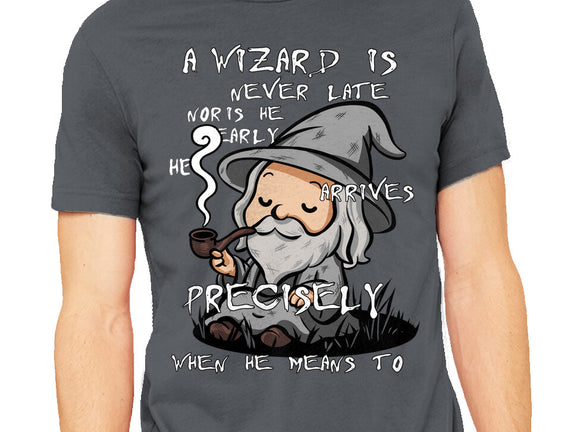 A Wizard Is Never Late