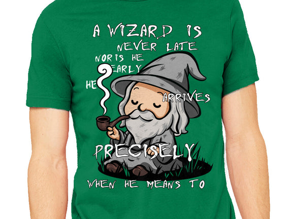 A Wizard Is Never Late