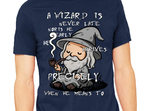 A Wizard Is Never Late