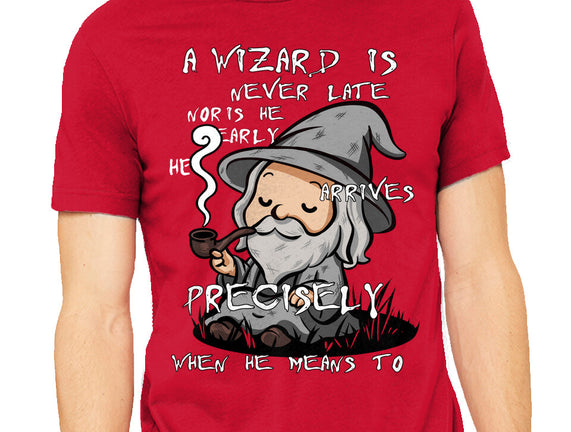 A Wizard Is Never Late